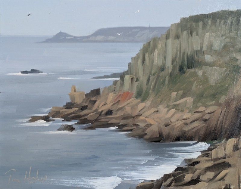 Goose Slade Point from Land's End