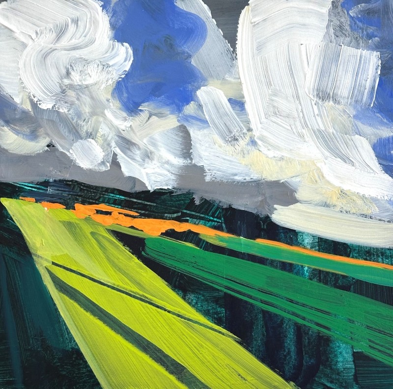 Windswept Headland 2025