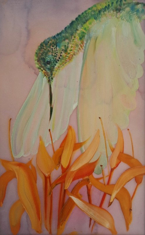 Humming Bird