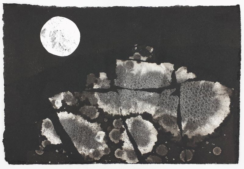 Full Moon & Lichen I (+ book)