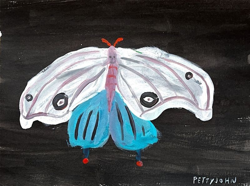 Day Moth at Night