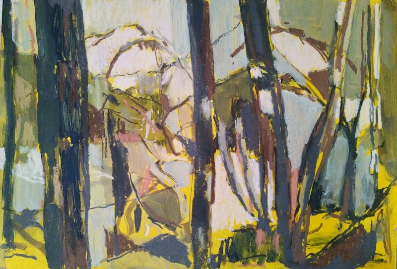 Spring woodland 2