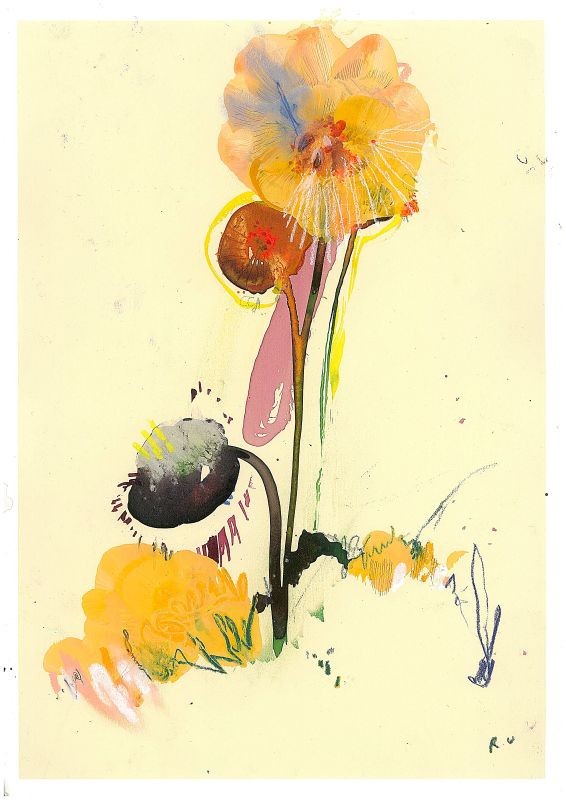 Easter Party narcissus & a mix of Galilee anemone