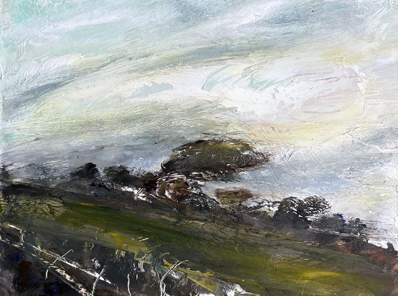 Cornish Hedgerows