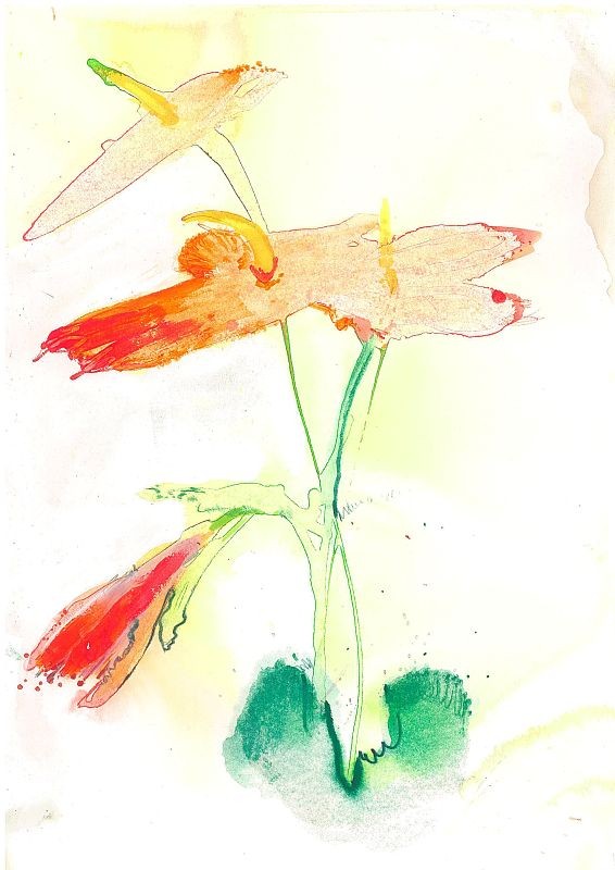 Painters Palette-Anthurium