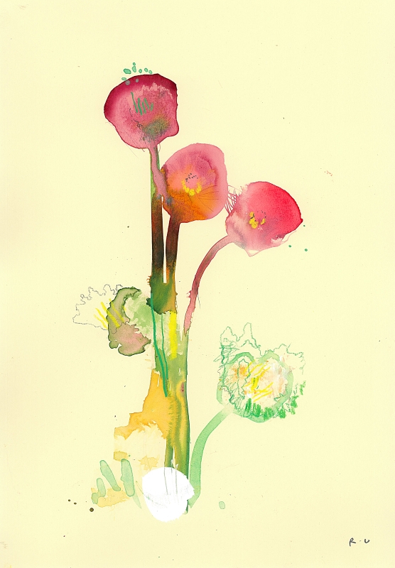 ICELANDIC POPPIES NUMBER TWO