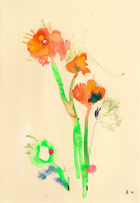 Delosperma
