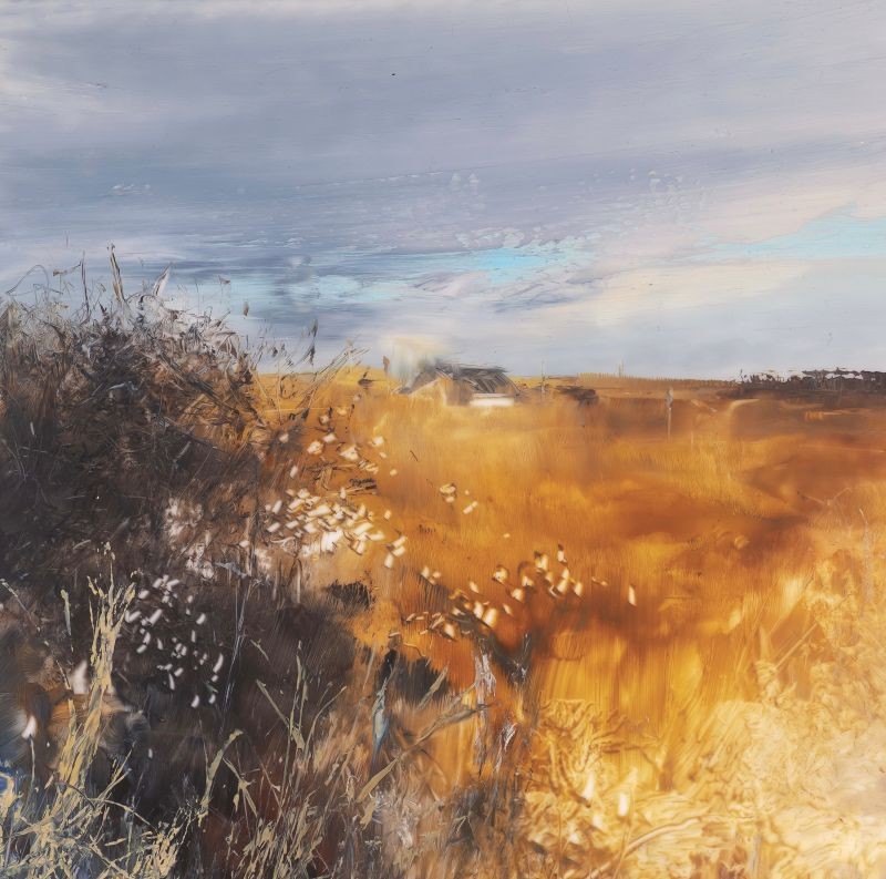 Golden Fields, Zennor