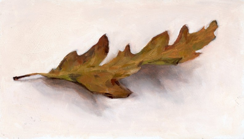 Oak Leaf from Krowji