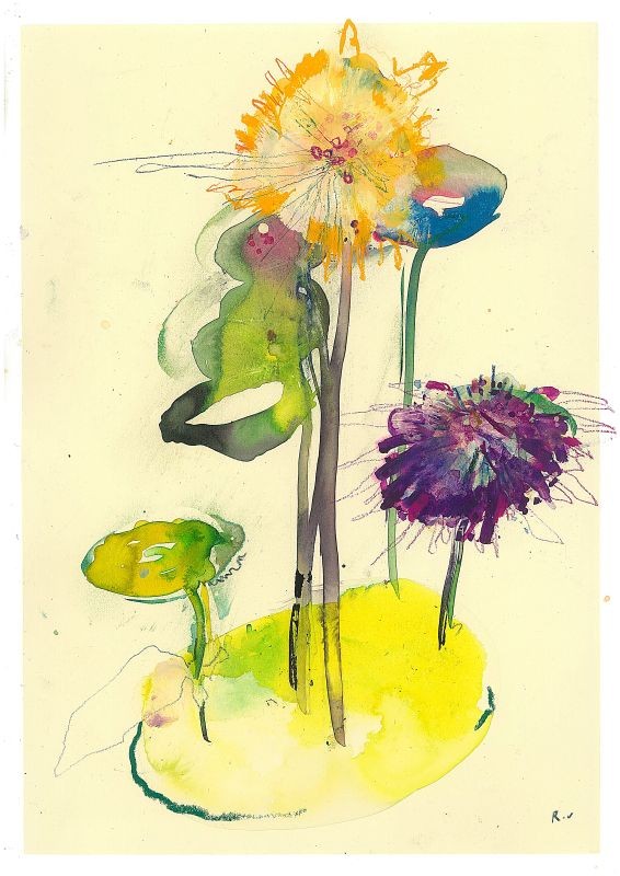 Anemones, tulips & stem silhouettes