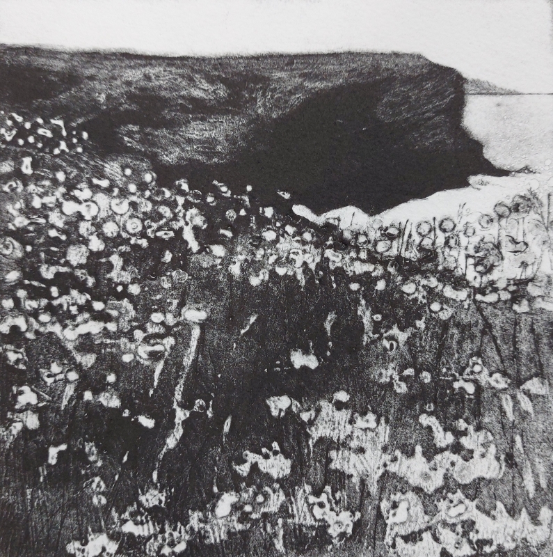 Sky, Rock, Sea & Thrift (Gunver Head)