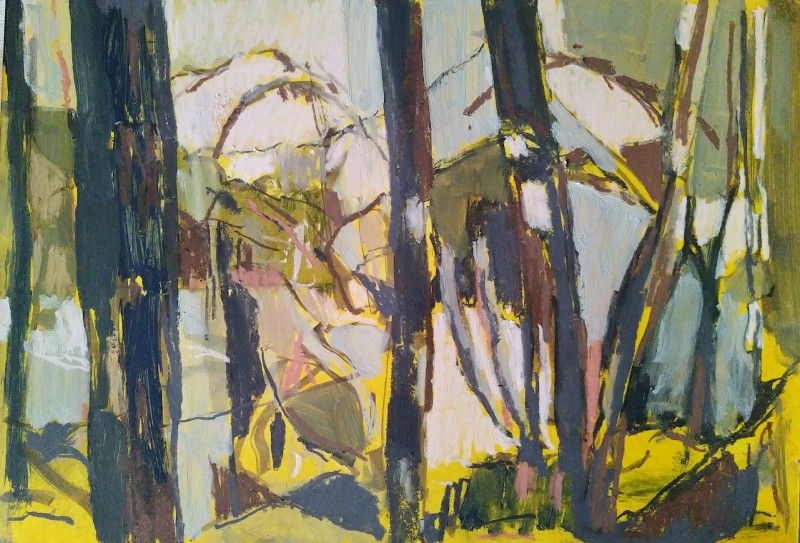Spring woodland 2