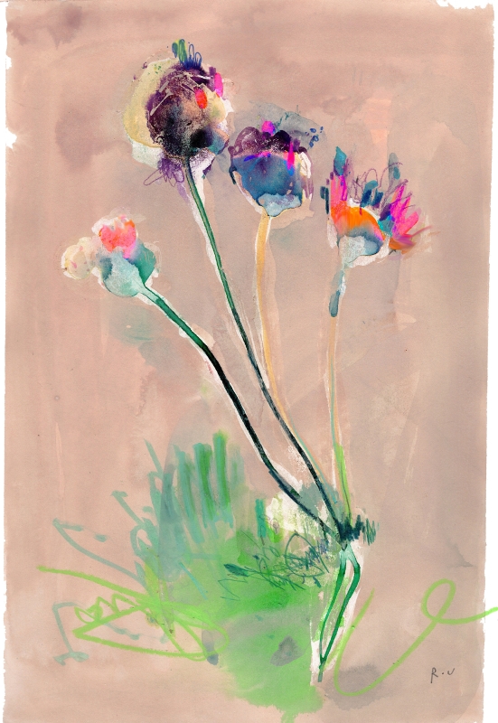 Opening Anemone