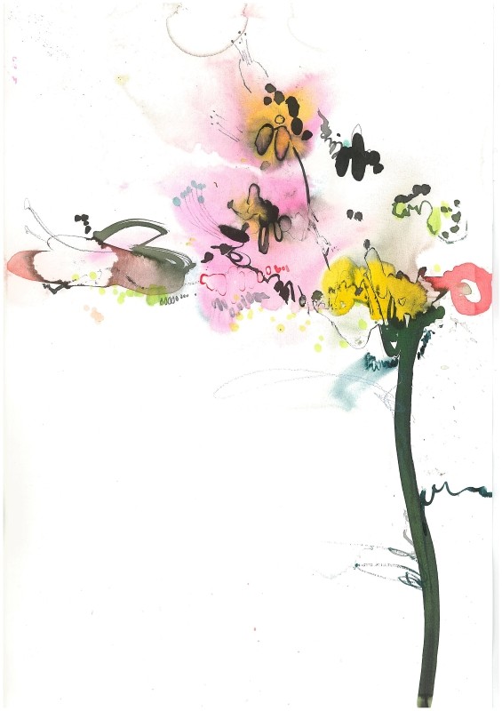 FREESIAS IN AFTERNOON SUN