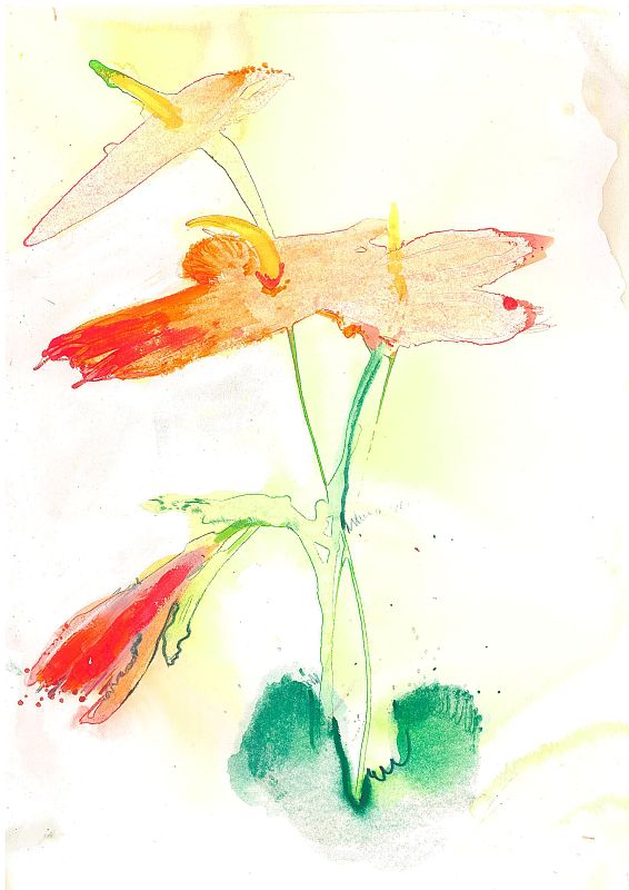 Painters Palette-Anthurium