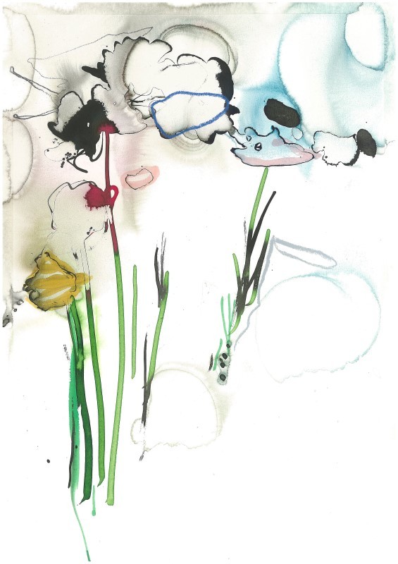 Mixed Wild Flowers