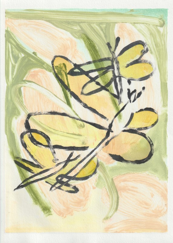 Butterflies (2)