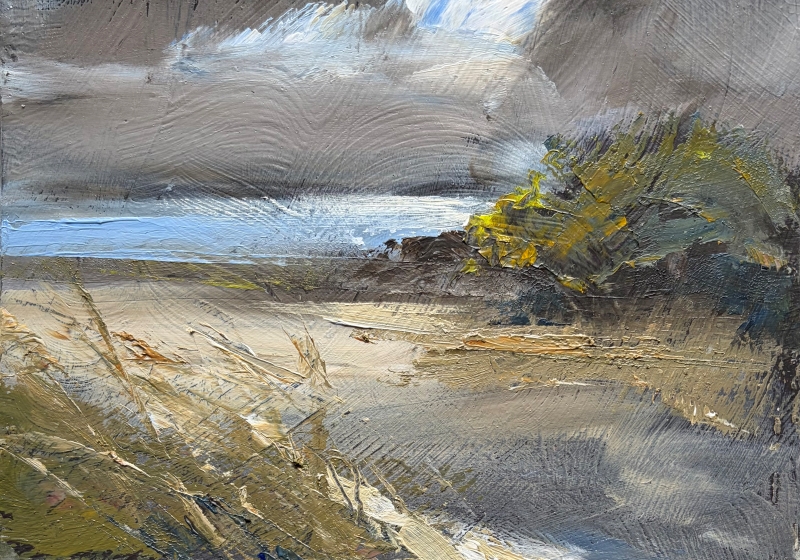 Storm Light