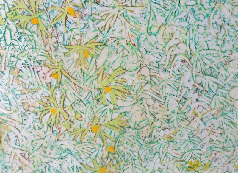 FLORILEGIUM GARDEN STUDY 62