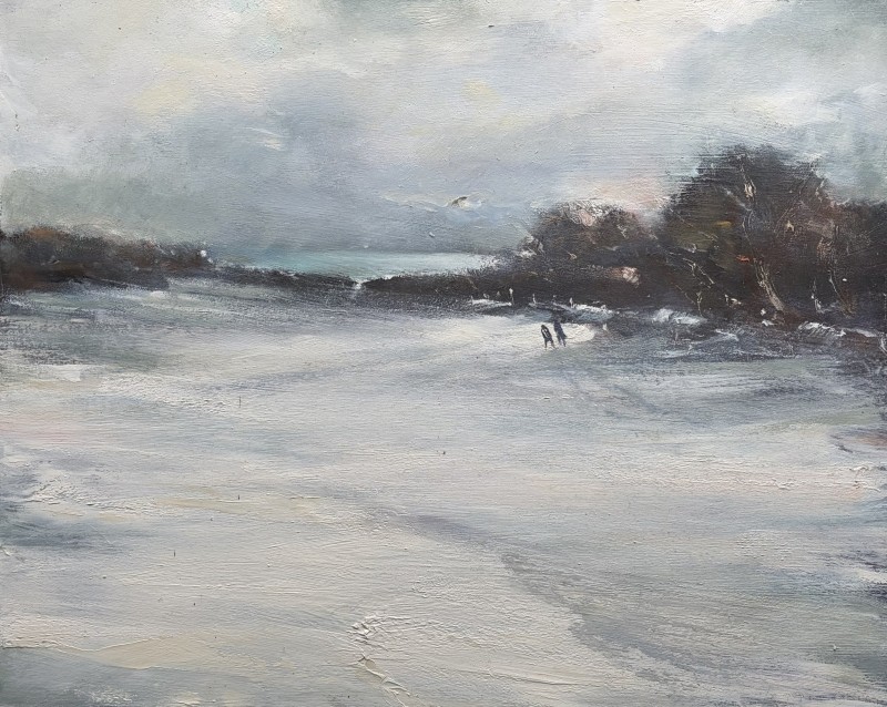 When the Snow came to Cornwall