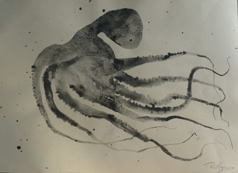 Angry Octopus