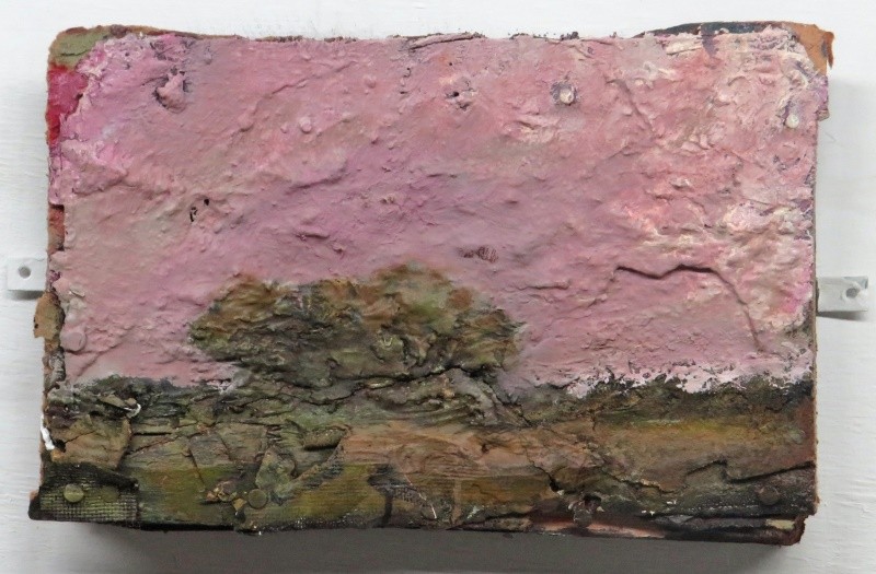 Pink, sunset, hedge, Cornwall