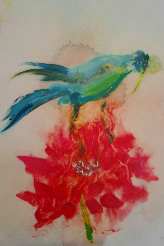 Pollinator - Bird