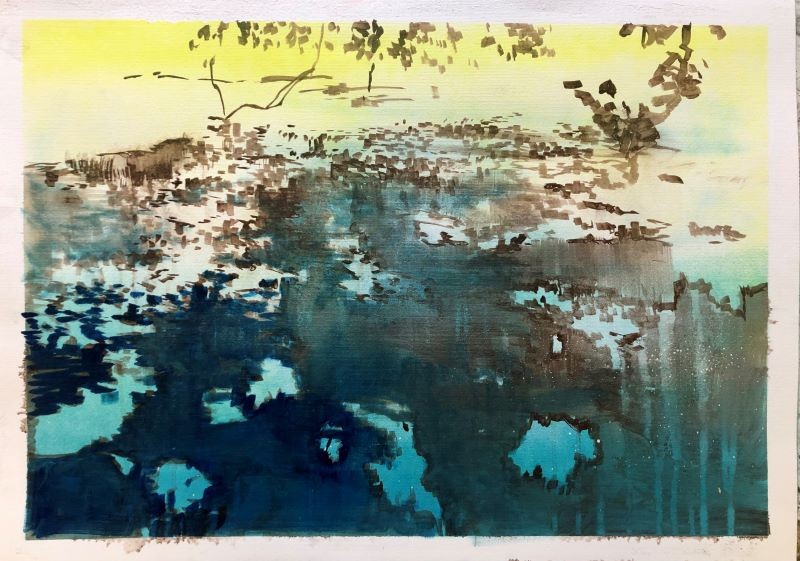 Pond Life Study