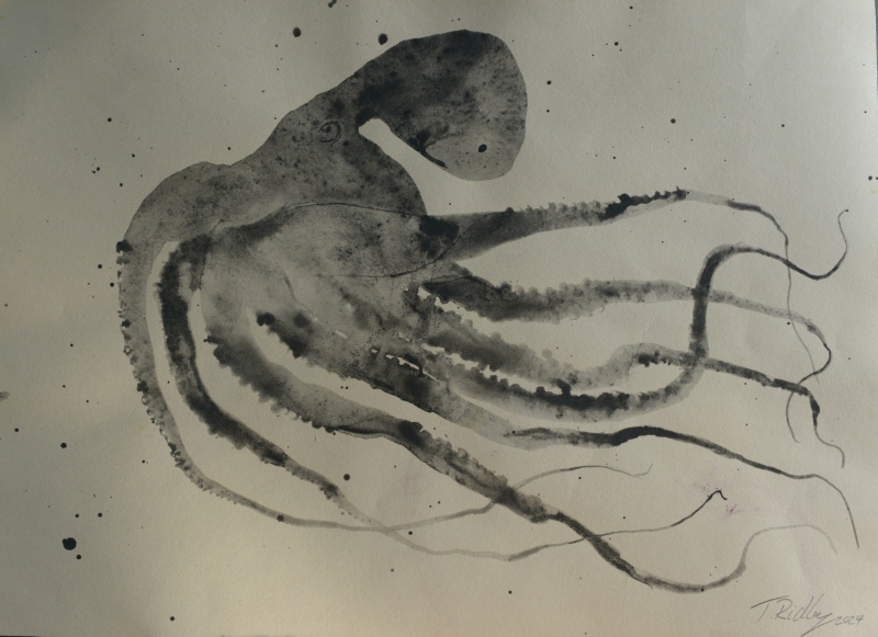 Angry Octopus