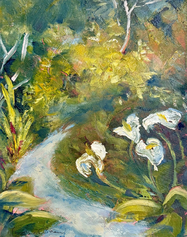 Trewidden Garden