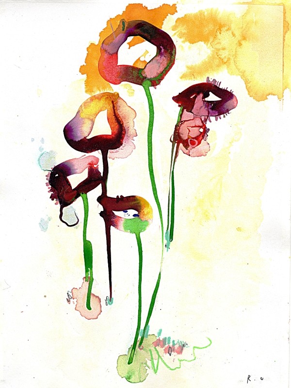 Perry's White Papaver