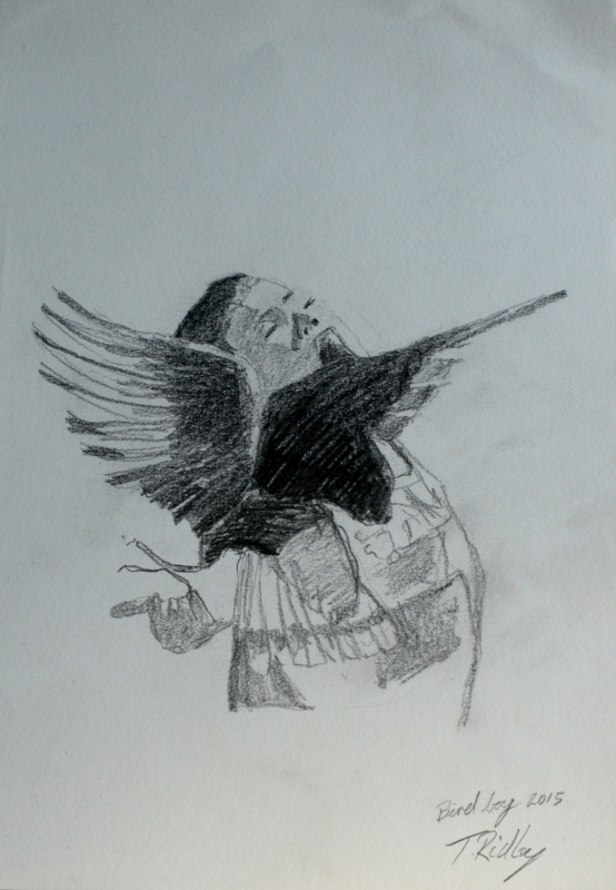 Bird boy