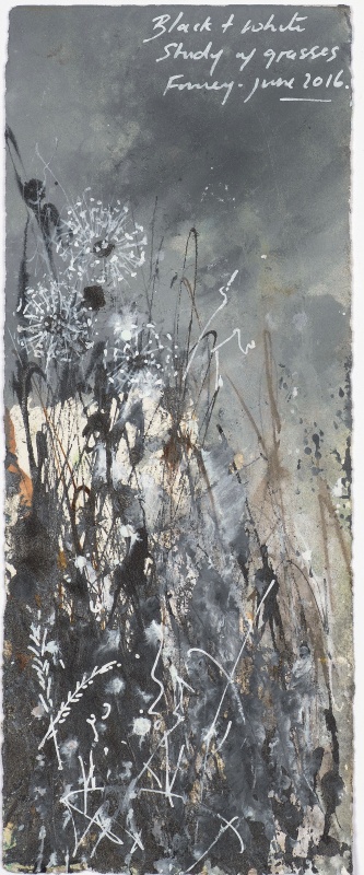 Study of Grasses, Fowey