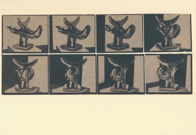 Stereoscope (Solar Bird) 2