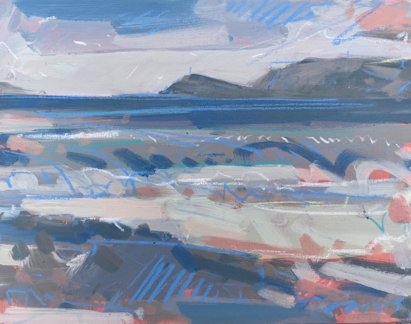 Sennen pink and blue demo