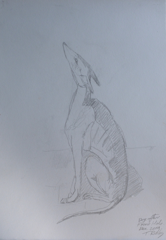 Dog after Frans Hals