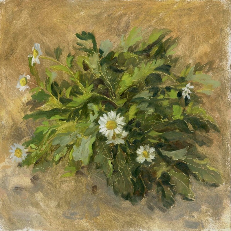 Plein-air Daisies at the Sang