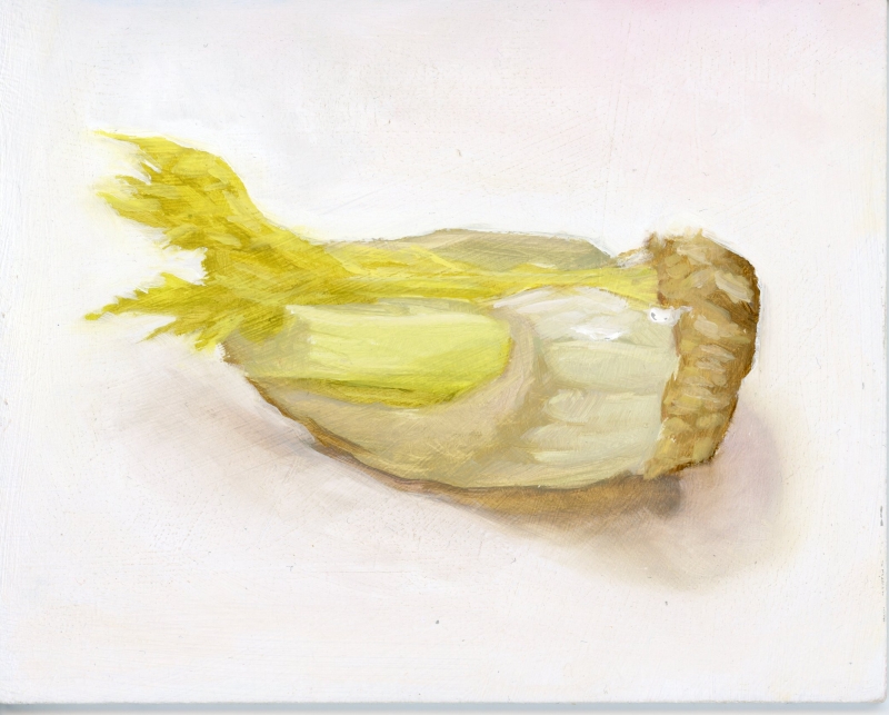 Celery Stalk Study #2