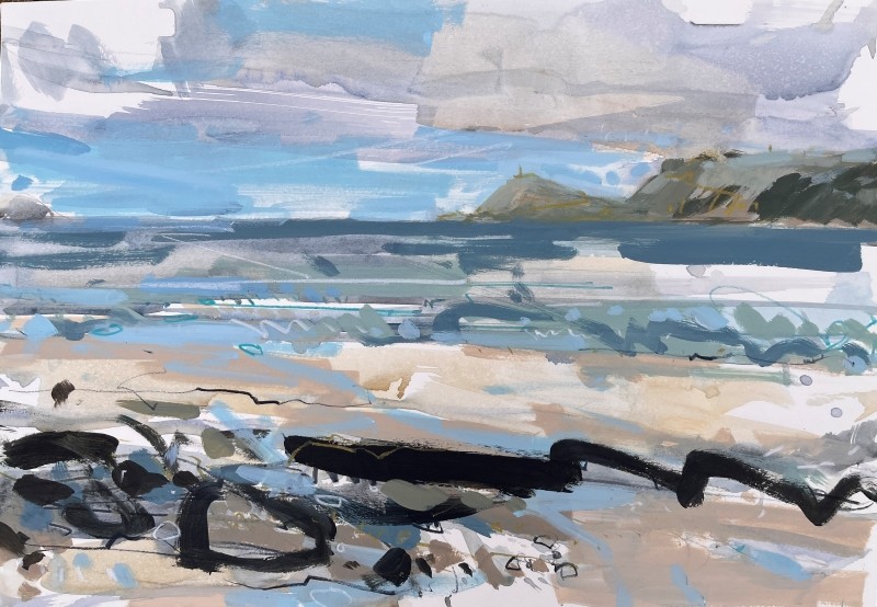 Surfers Sennen demo