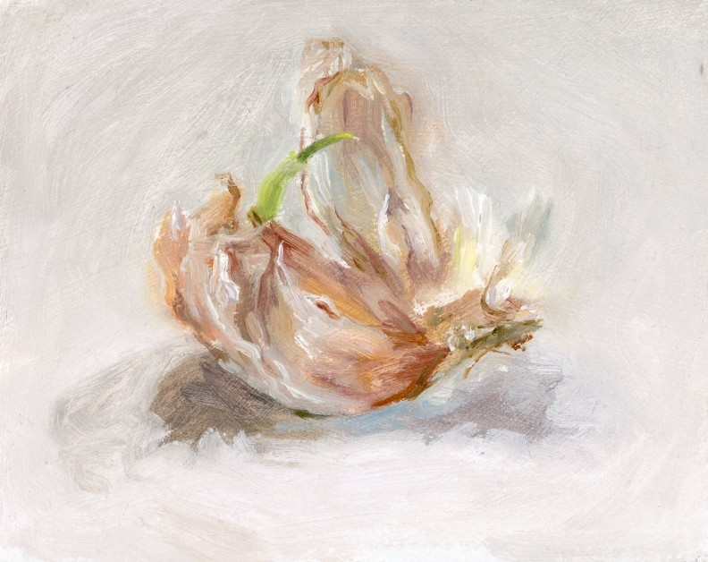 Flamboyant Garlic