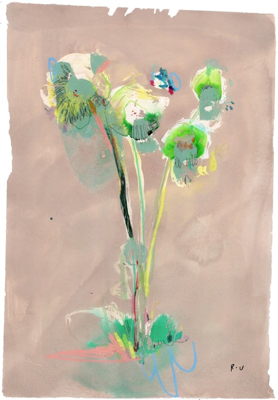 Amadine Porcelaine Ranunculus