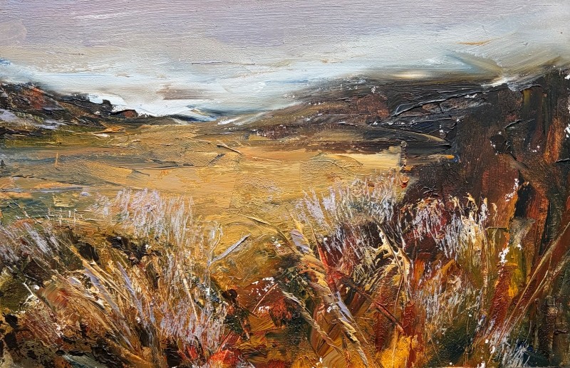 Late Summer Colour