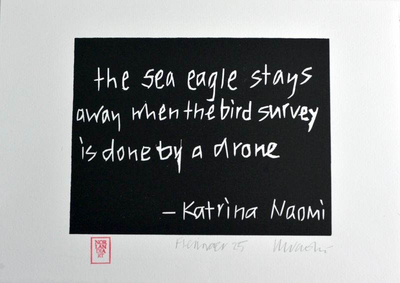 The sea eagle