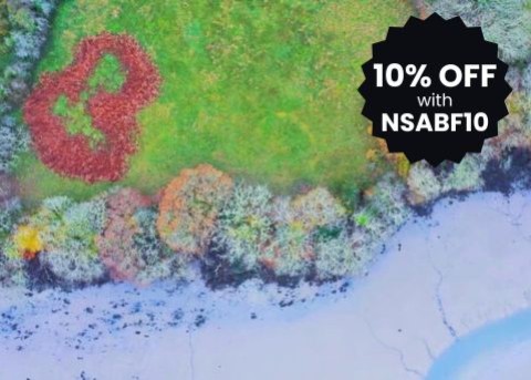 YEAR-LONG ONLINE LANDSCAPE