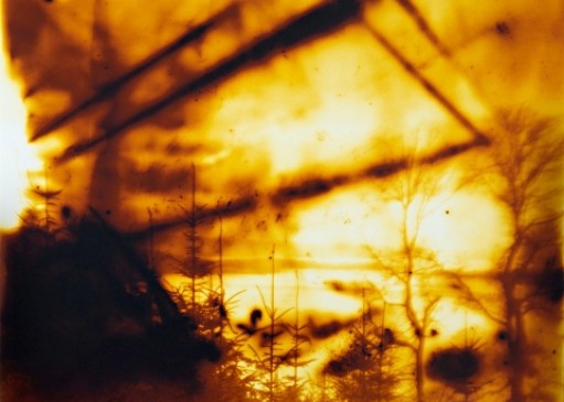 WILDNESS - ALTERNATIVE APPROACHES TO LANDSCAPE