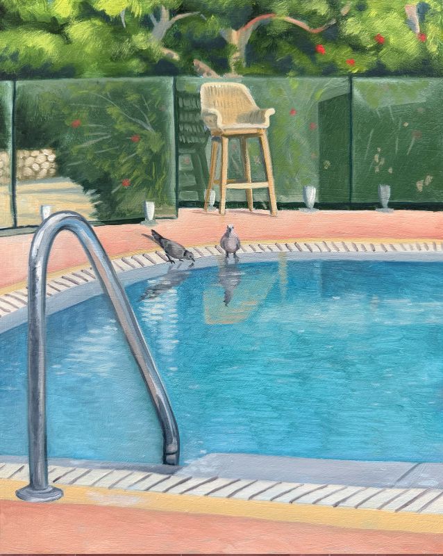 Pool Birds