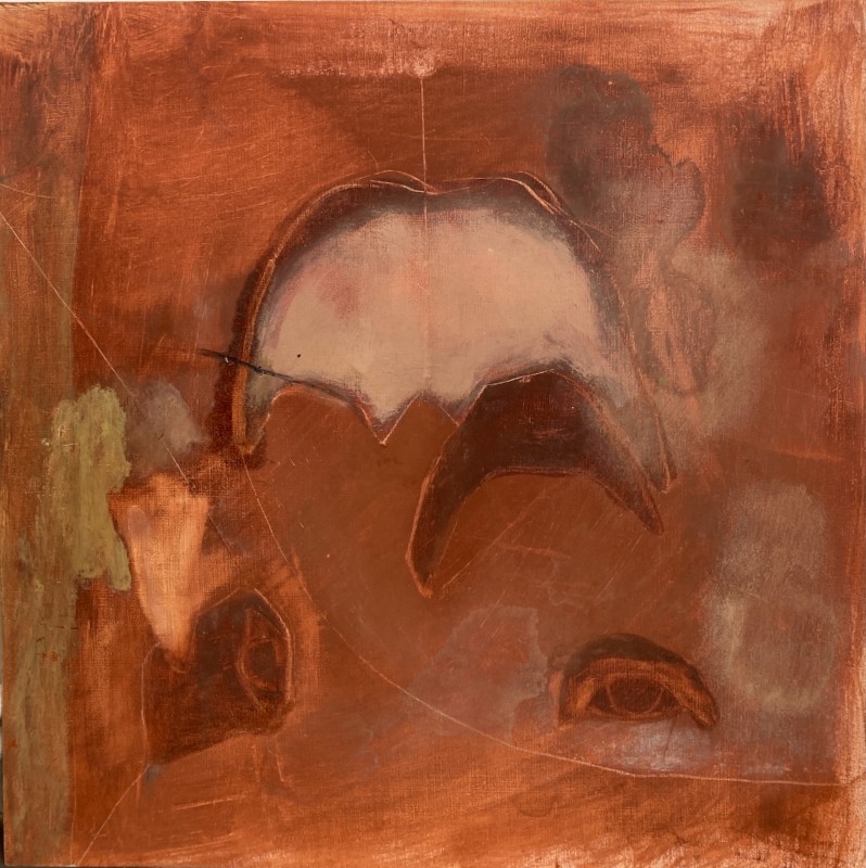 Helen Bradbrook