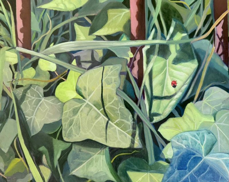 Ladybird