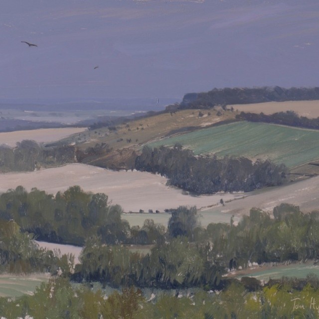 towards Botley Wood with Red Kites_2 Tom Hughes Art Tutor