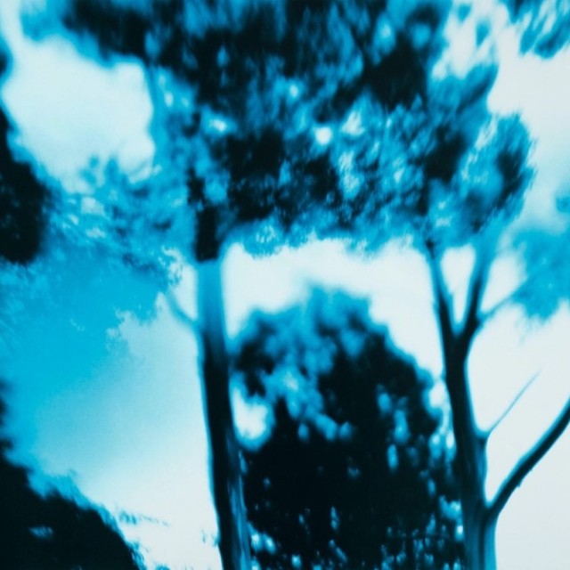 camera-obscura-C-type-print